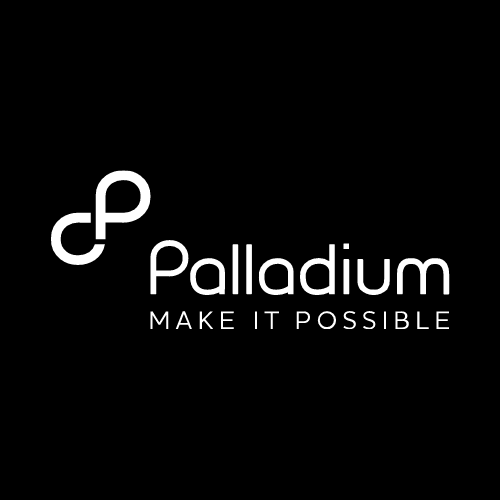 The Palladium Group